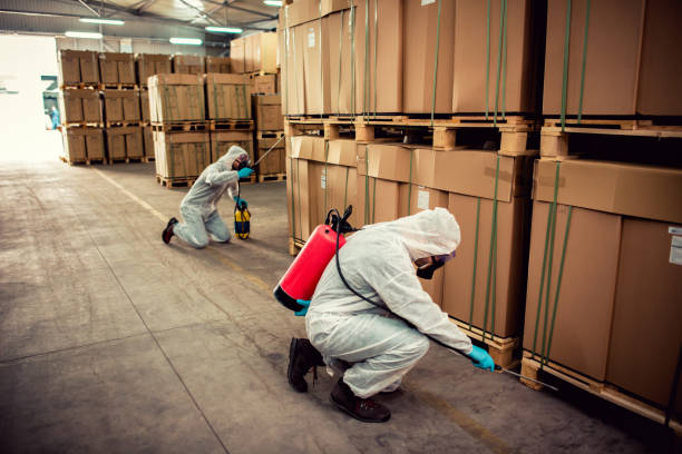 Best Best Pest Control Companies  in Jacksonville, AL