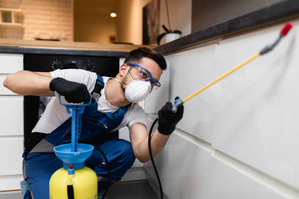 Professional Pest Control in Jacksonville, AL