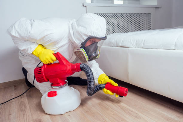 Best Mosquito Control Services  in Jacksonville, AL