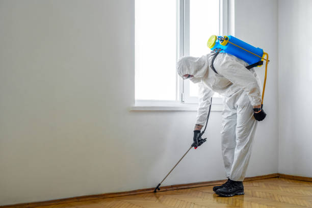 Best Commercial Pest Control Services  in Jacksonville, AL