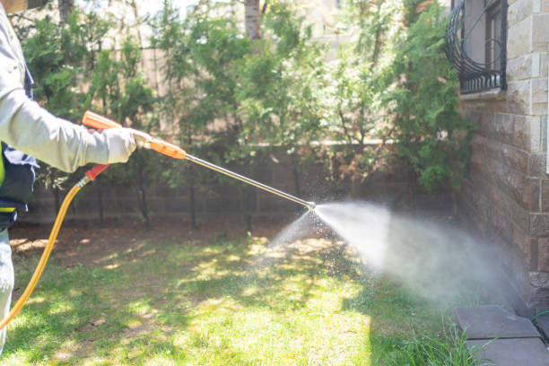 Best Insect Control  in Jacksonville, AL