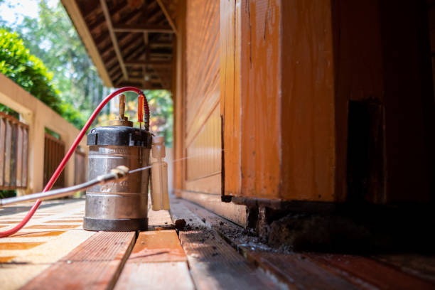Best Affordable Pest Control Services  in Jacksonville, AL