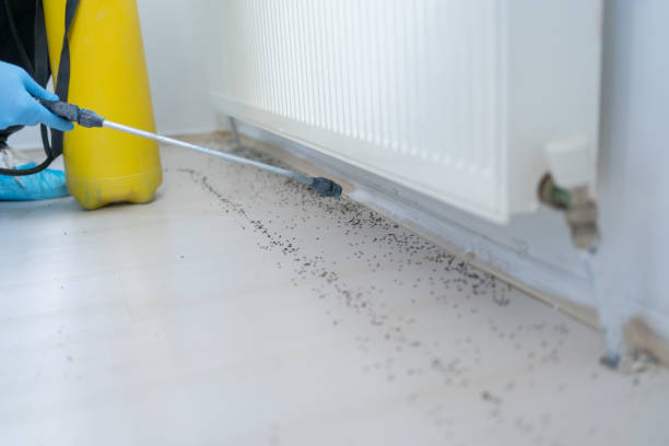 Best Pest Control for Businesses  in Jacksonville, AL