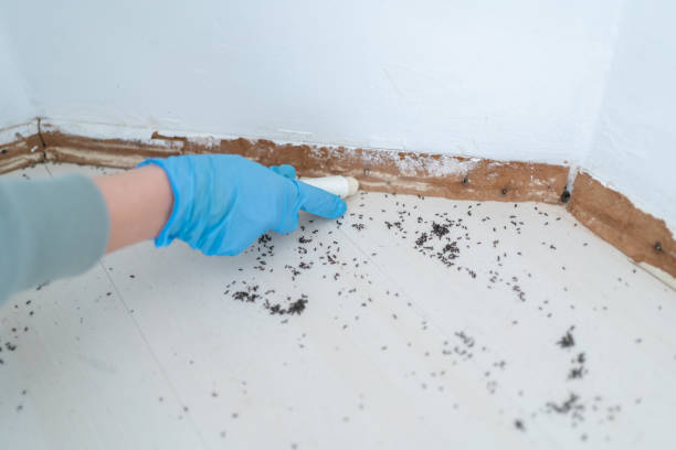 Best Residential Pest Control  in Jacksonville, AL