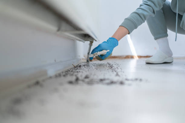 Best Pest Removal Services  in Jacksonville, AL