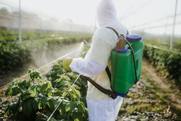 Best Local Pest Control Services  in Jacksonville, AL